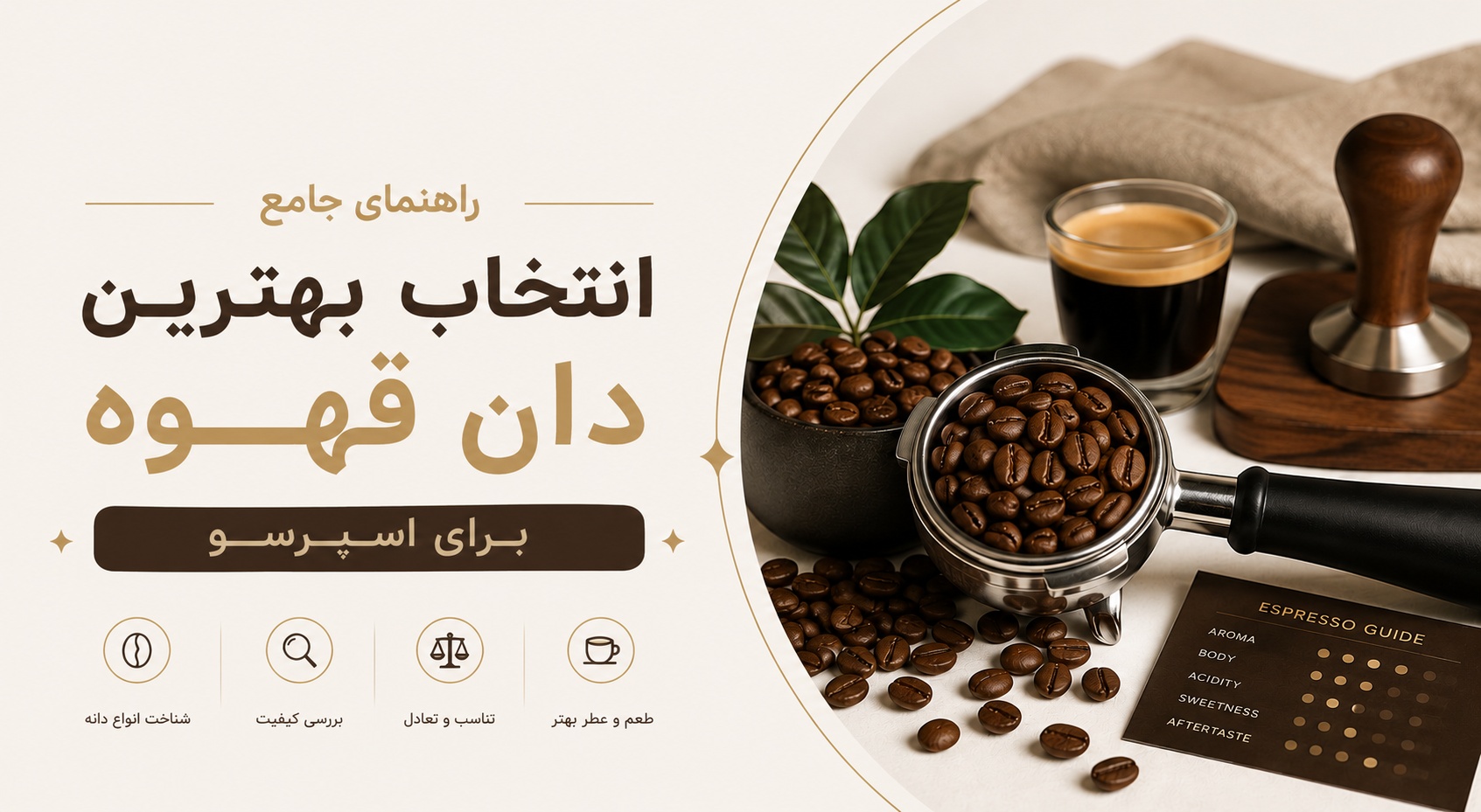 راهنمای جامع انتخاب بهترین دان قهوه برای اسپرسو