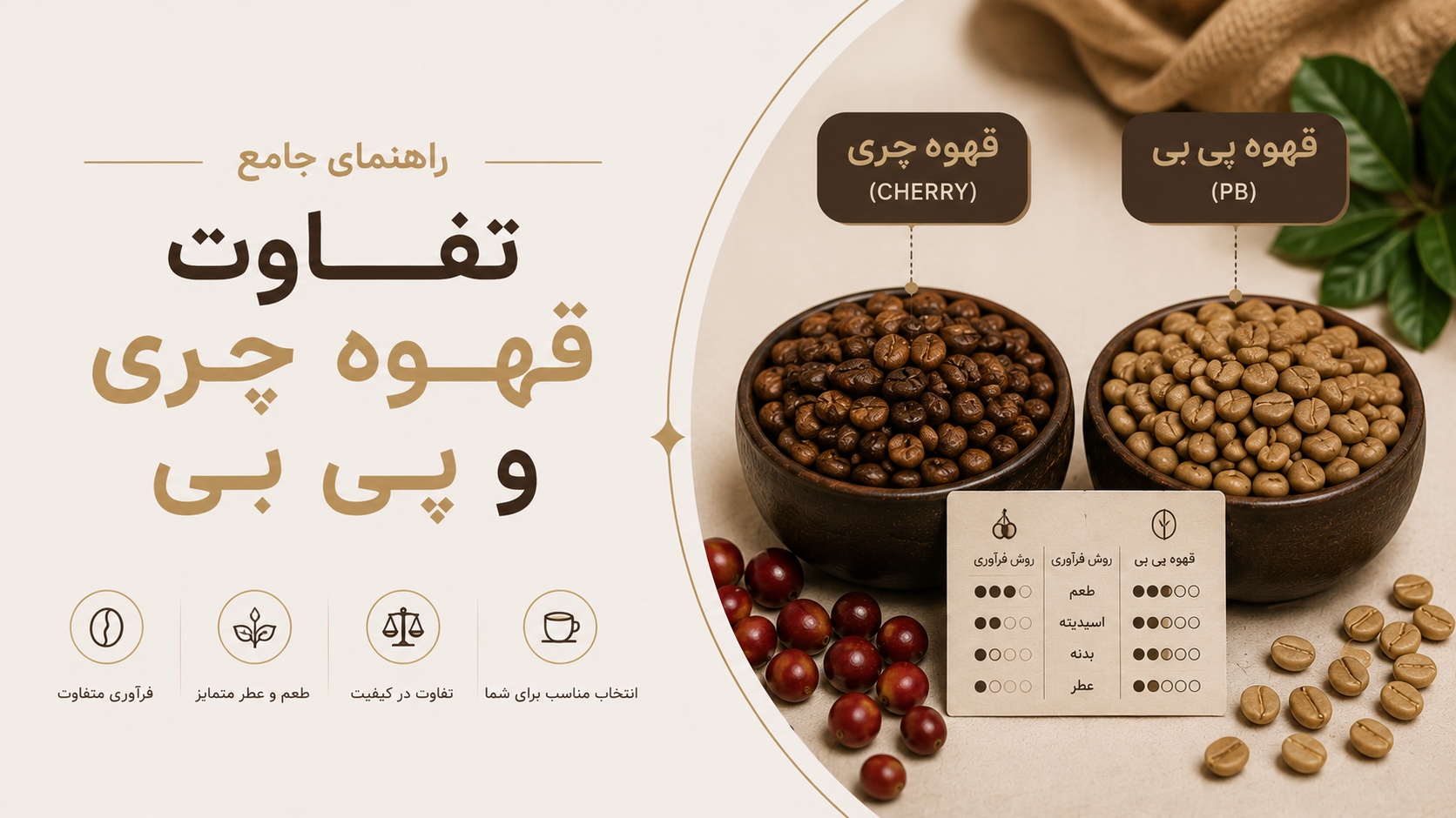 تفاوت قهوه چری و پی بی: راهنمای کامل انتخاب و خرید