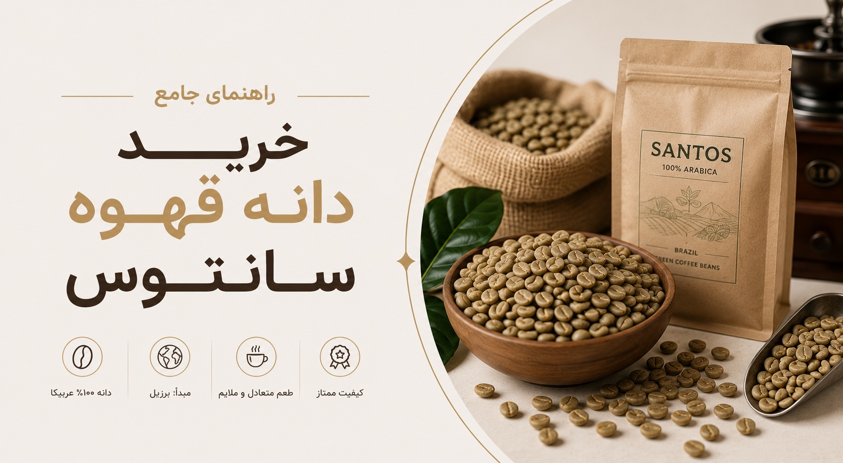 خرید دانه قهوه سانتوس: انتخاب، رست و تشخیص کیفیت