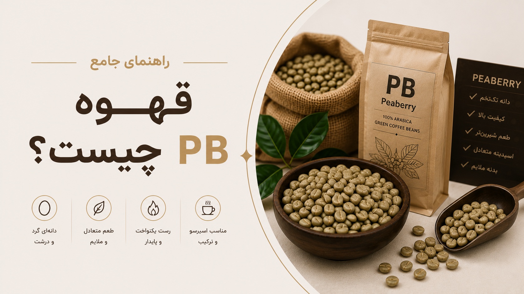 قهوه PB چیست؟ از دانه تا فنجان، راهنمای جامع برای انتخاب و خرید
